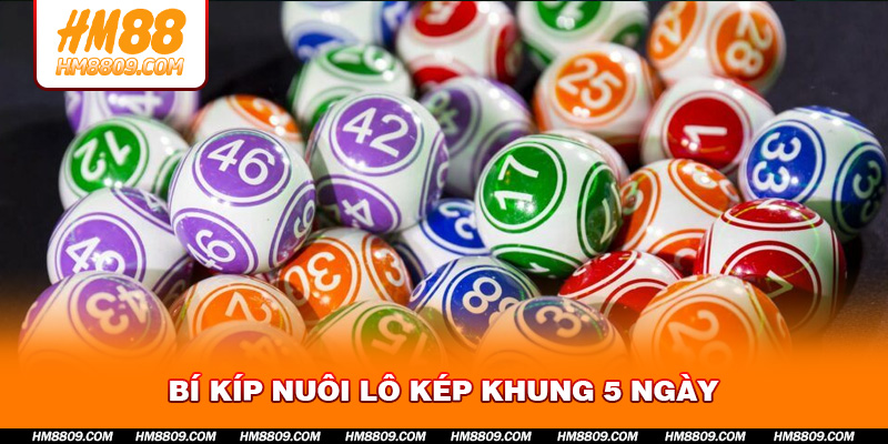 Bí kíp nuôi lô kép khung 5 ngày
